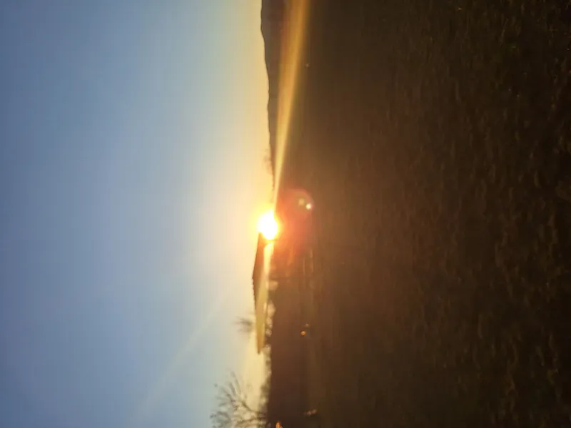 Essen, Freunde und Bibel