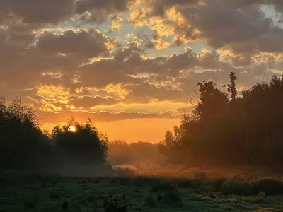 Online-Bibelstudiengruppe