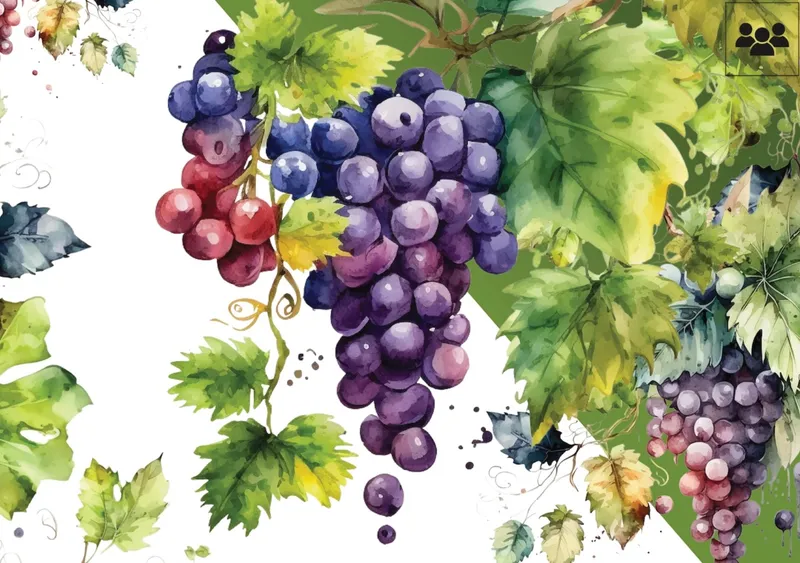 Spätlese: Für Rentner