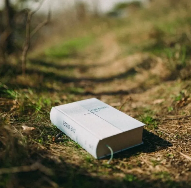 Bible and Burrito